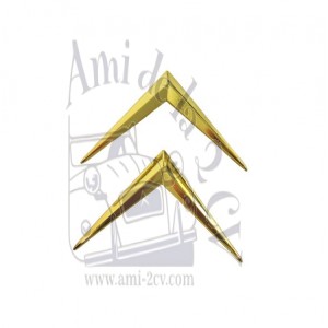 Chevrons doré de porte de malle DS