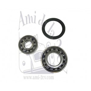 Kit roulement de roue arrière fixe DS