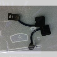 Paire de charbons de dynamo Paris Rhône DS ID19