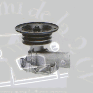 Pompe à eau DS