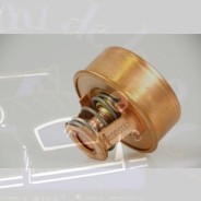Thermostat 79gr DS