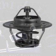 Thermostat+joint 80gr DS injection