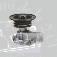 Pompe à eau DS